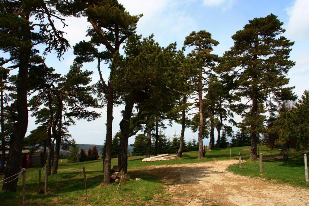 Hotel Le Refuge Mas-dʼOrcières Εξωτερικό φωτογραφία